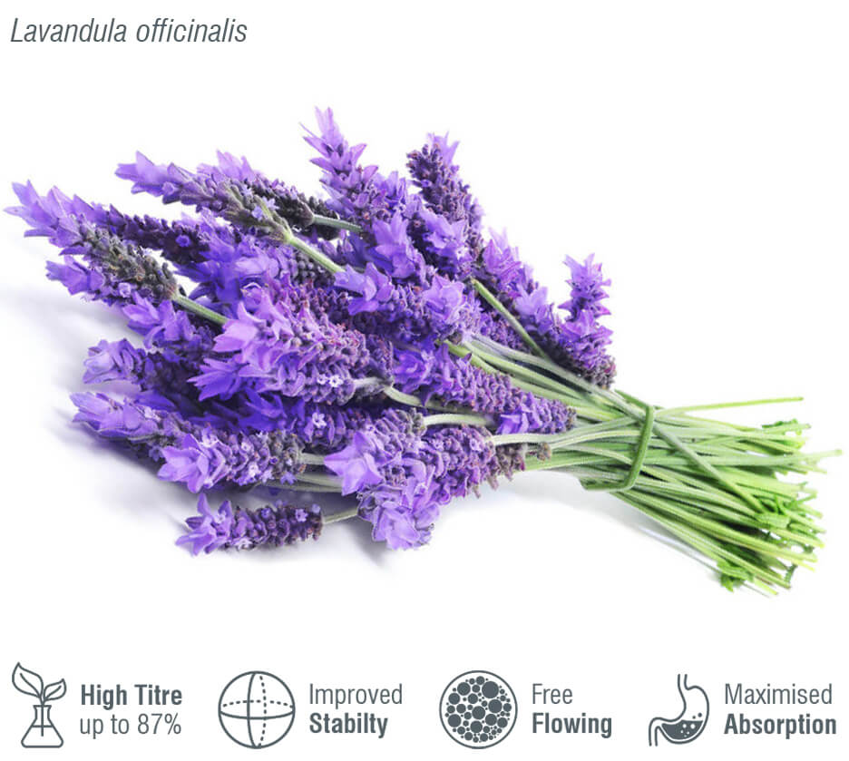 Microcápsulas que contienen aceite esencial de Lavanda